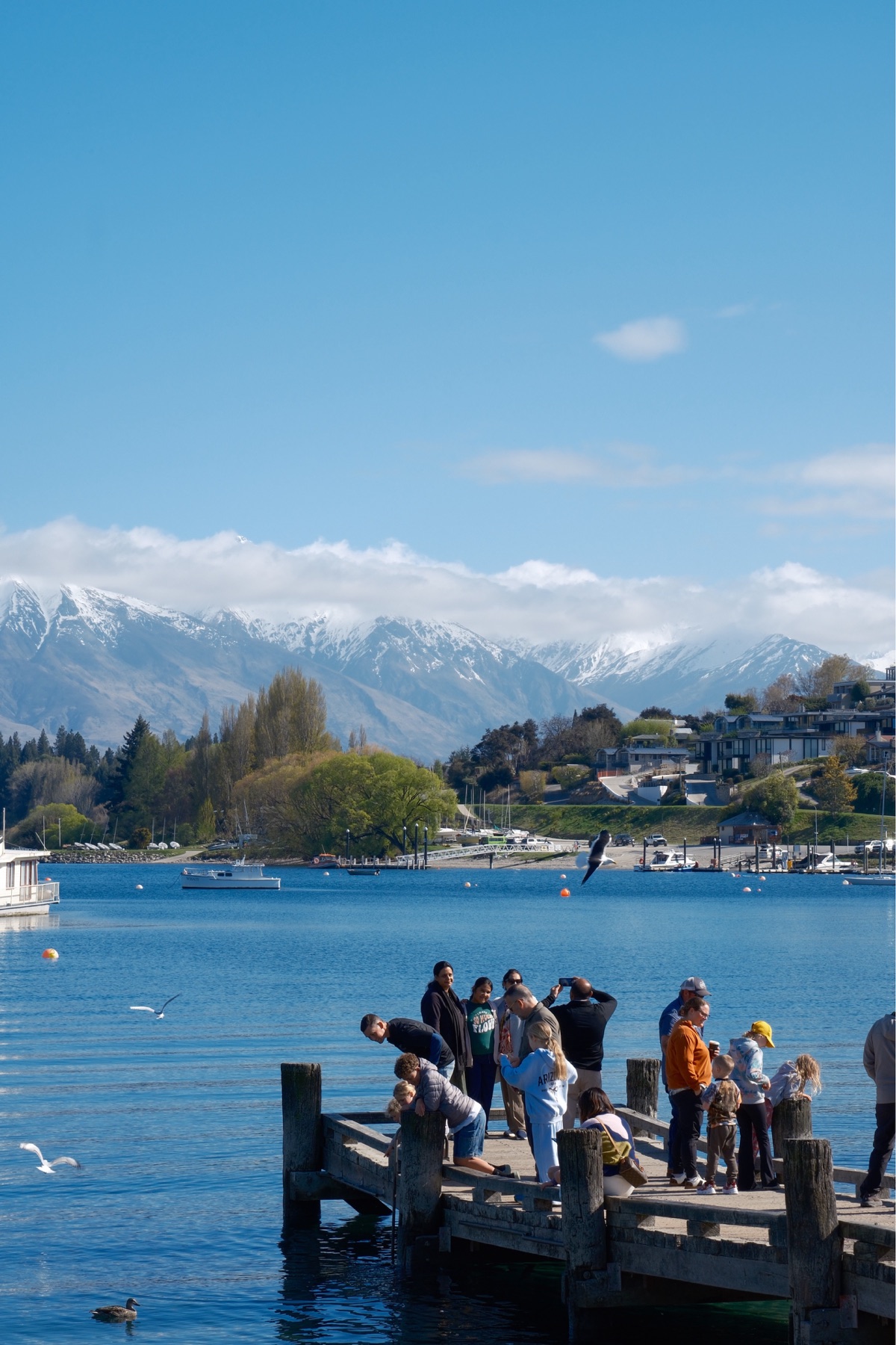 People gathered on a Queenstown pier beneath lake and alpine mountains