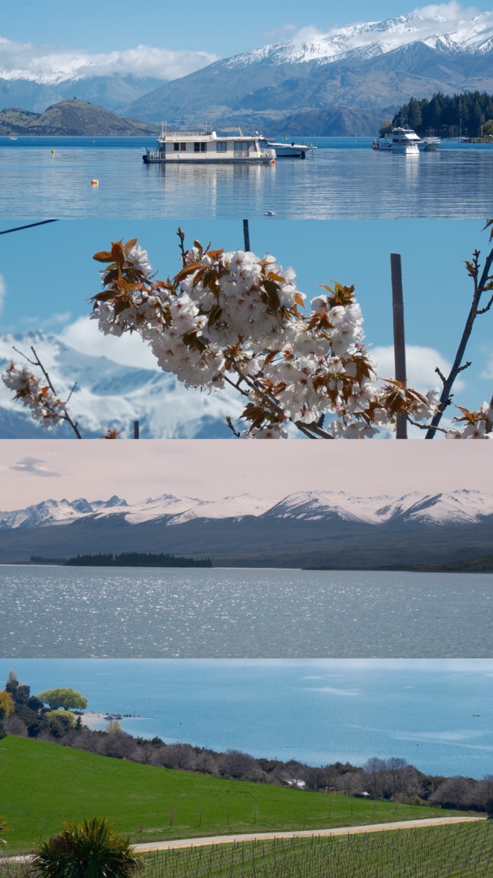 A layered study of southern lakes, mountain ranges and spring blossoms